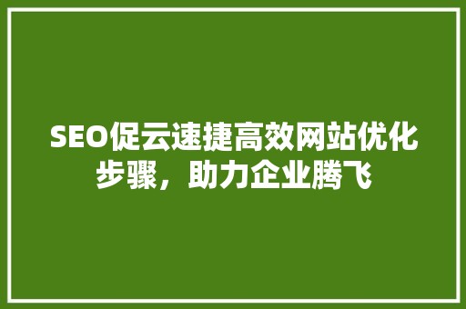 SEO促云速捷高效网站优化步骤，助力企业腾飞