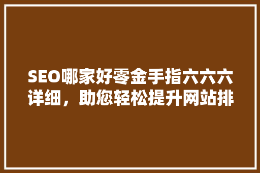 SEO哪家好零金手指六六六详细，助您轻松提升网站排名