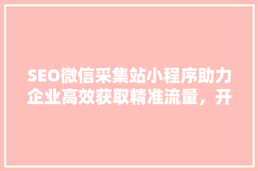 SEO微信采集站小程序助力企业高效获取精准流量，开启营销新篇章