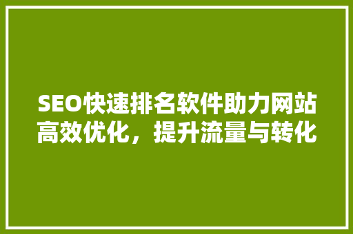 SEO快速排名软件助力网站高效优化，提升流量与转化