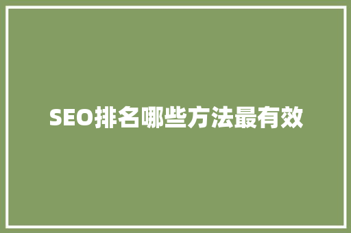 SEO排名哪些方法最有效