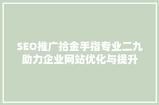 SEO推广拾金手指专业二九助力企业网站优化与提升