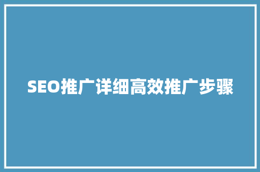 SEO推广详细高效推广步骤