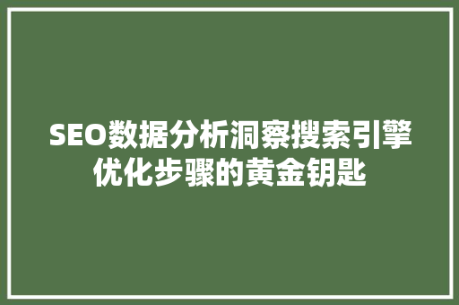 SEO数据分析洞察搜索引擎优化步骤的黄金钥匙