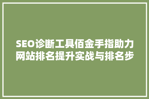 SEO诊断工具佰金手指助力网站排名提升实战与排名步骤