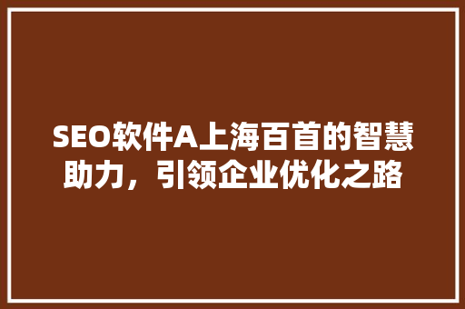 SEO软件A上海百首的智慧助力，引领企业优化之路