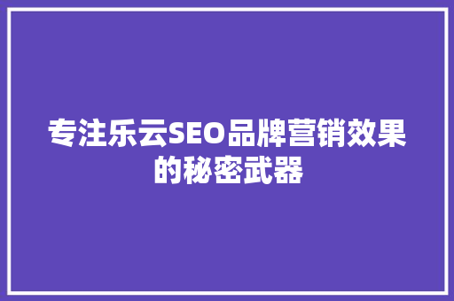 专注乐云SEO品牌营销效果的秘密武器
