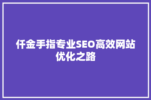 仟金手指专业SEO高效网站优化之路