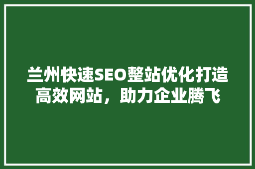 兰州快速SEO整站优化打造高效网站，助力企业腾飞