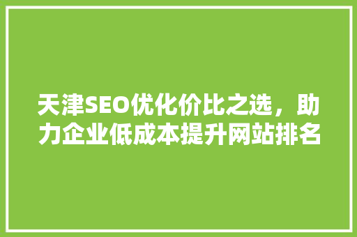 天津SEO优化价比之选，助力企业低成本提升网站排名