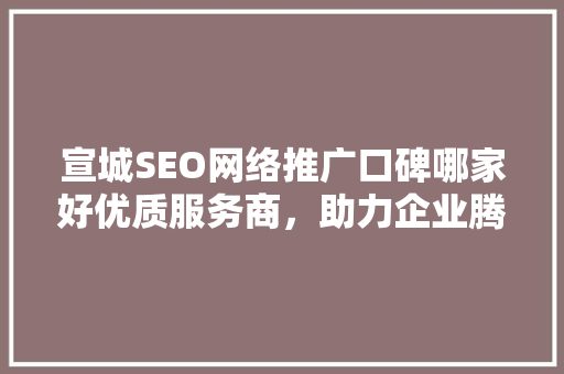 宣城SEO网络推广口碑哪家好优质服务商，助力企业腾飞
