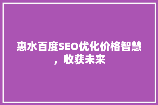 惠水百度SEO优化价格智慧，收获未来  第1张