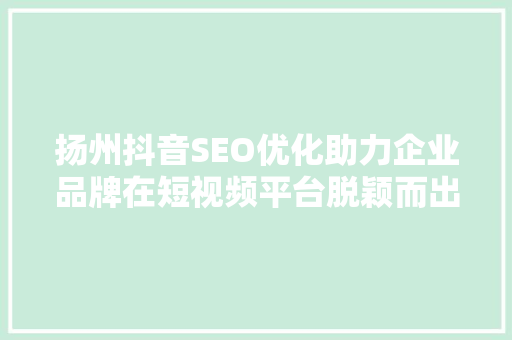 扬州抖音SEO优化助力企业品牌在短视频平台脱颖而出