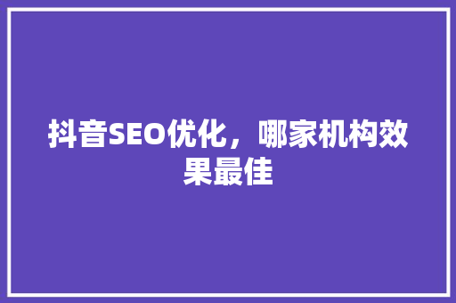 抖音SEO优化，哪家机构效果最佳