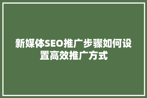 新媒体SEO推广步骤如何设置高效推广方式