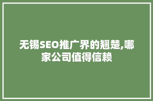 无锡SEO推广界的翘楚,哪家公司值得信赖