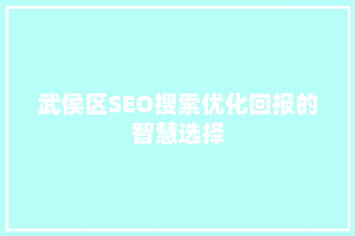 武侯区SEO搜索优化回报的智慧选择