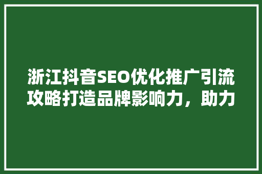 浙江抖音SEO优化推广引流攻略打造品牌影响力，助力企业腾飞  第1张