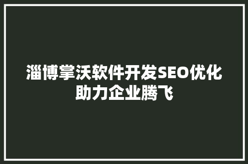 淄博掌沃软件开发SEO优化助力企业腾飞
