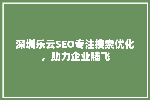 深圳乐云SEO专注搜索优化，助力企业腾飞