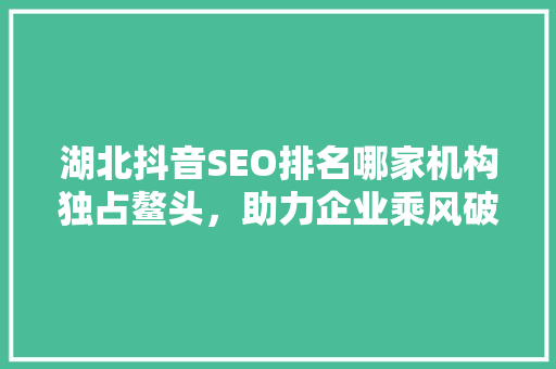 湖北抖音SEO排名哪家机构独占鳌头，助力企业乘风破浪