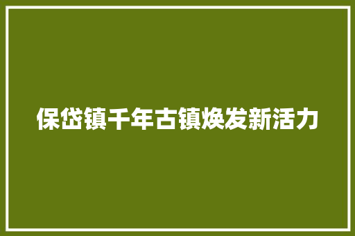 保岱镇千年古镇焕发新活力