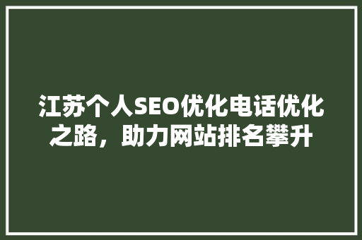 江苏个人SEO优化电话优化之路，助力网站排名攀升