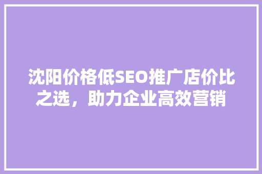 沈阳价格低SEO推广店价比之选，助力企业高效营销  第1张