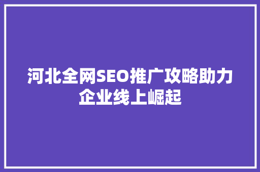 河北全网SEO推广攻略助力企业线上崛起