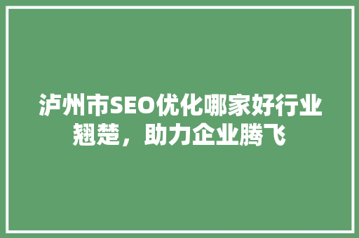 泸州市SEO优化哪家好行业翘楚，助力企业腾飞