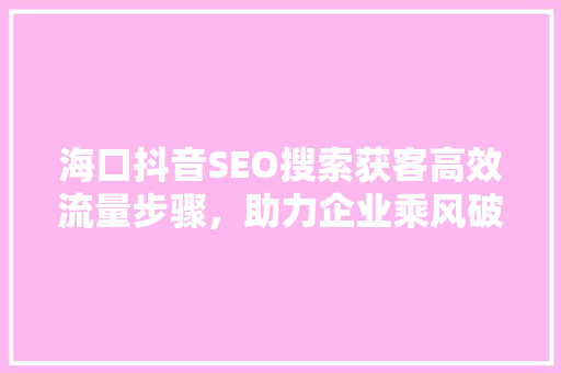 海口抖音SEO搜索获客高效流量步骤，助力企业乘风破浪