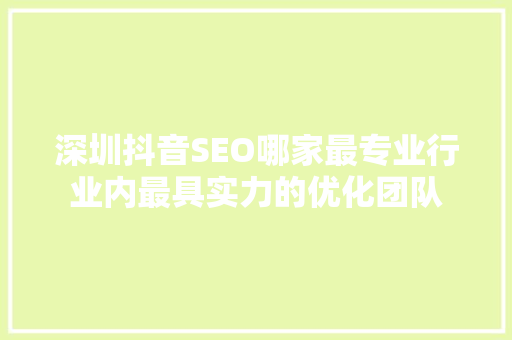 深圳抖音SEO哪家最专业行业内最具实力的优化团队