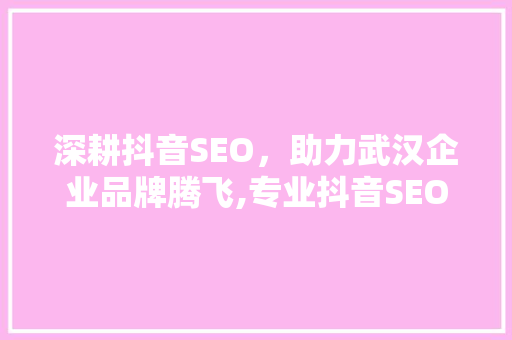 深耕抖音SEO，助力武汉企业品牌腾飞,专业抖音SEO服务