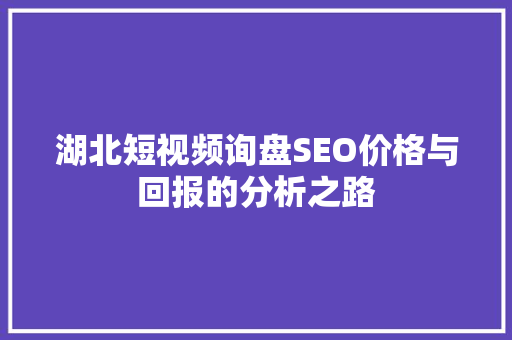 湖北短视频询盘SEO价格与回报的分析之路