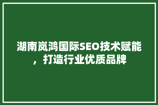 湖南岚鸿国际SEO技术赋能，打造行业优质品牌