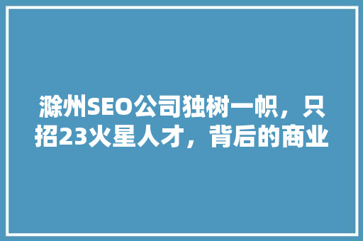 滁州SEO公司独树一帜，只招23火星人才，背后的商业智慧