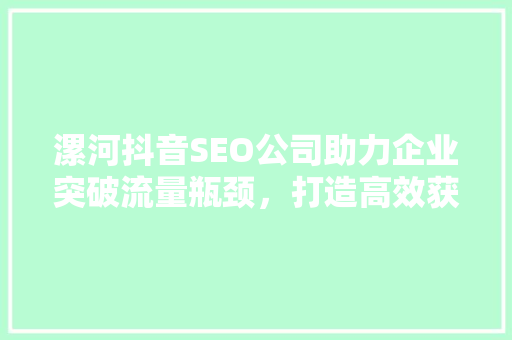 漯河抖音SEO公司助力企业突破流量瓶颈，打造高效获客方法