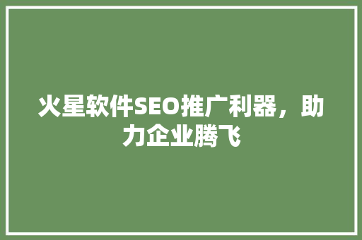 火星软件SEO推广利器，助力企业腾飞