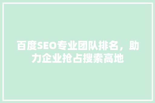 百度SEO专业团队排名，助力企业抢占搜索高地