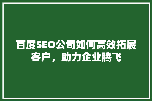 百度SEO公司如何高效拓展客户，助力企业腾飞