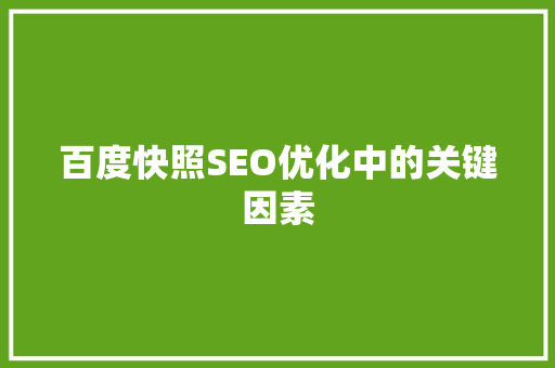 百度快照SEO优化中的关键因素