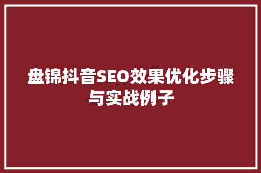 盘锦抖音SEO效果优化步骤与实战例子