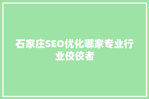 石家庄SEO优化哪家专业行业佼佼者