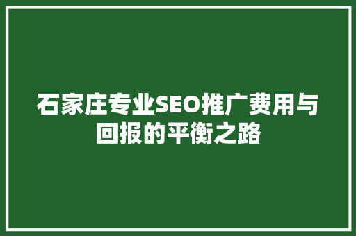 石家庄专业SEO推广费用与回报的平衡之路