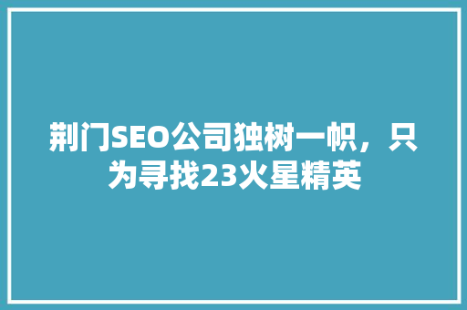 荆门SEO公司独树一帜，只为寻找23火星精英