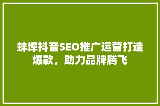 蚌埠抖音SEO推广运营打造爆款，助力品牌腾飞