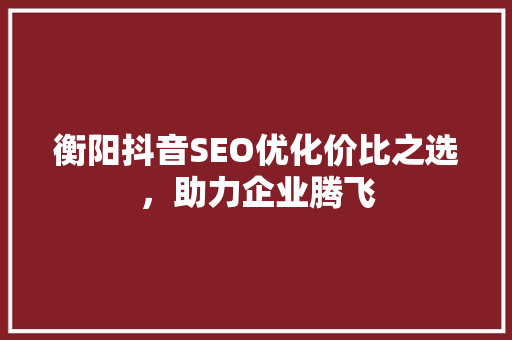 衡阳抖音SEO优化价比之选，助力企业腾飞