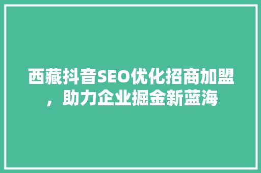 西藏抖音SEO优化招商加盟，助力企业掘金新蓝海