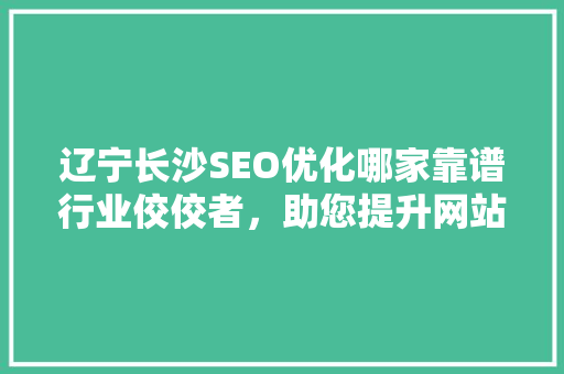 辽宁长沙SEO优化哪家靠谱行业佼佼者，助您提升网站排名