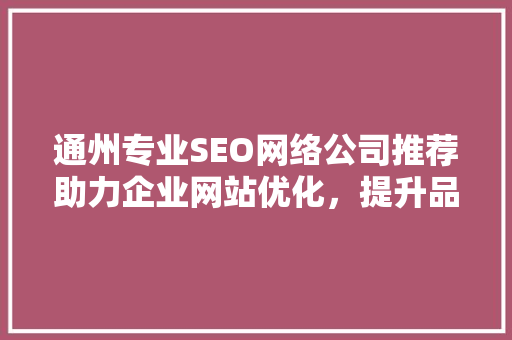 通州专业SEO网络公司推荐助力企业网站优化，提升品牌影响力